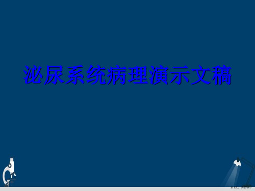 泌尿系统病理演示文稿