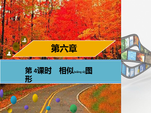 中考数学总复习 第六章 图形与变换 第4课时 相似图形课件