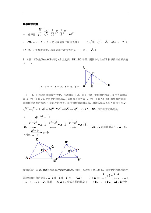 年鲁教版八年级数学期末试卷