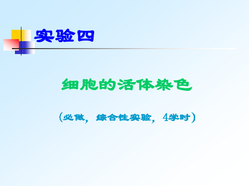 南开大学细胞生物学实验-实验四细胞活体染色