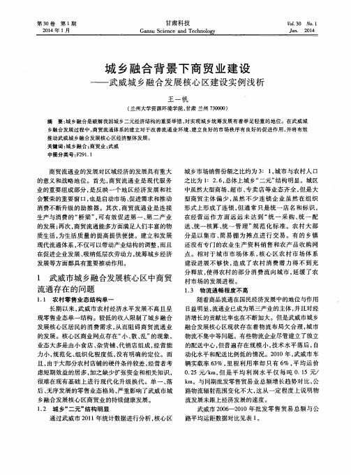 城乡融合背景下商贸业建设——武威城乡融合发展核心区建设实例浅析