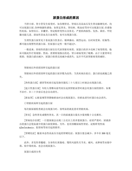 尿蛋白形成的原因