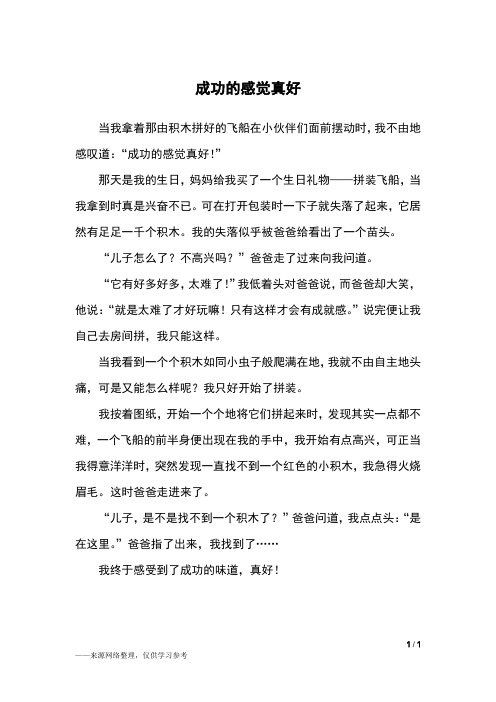 成功的感觉真好_六年级作文