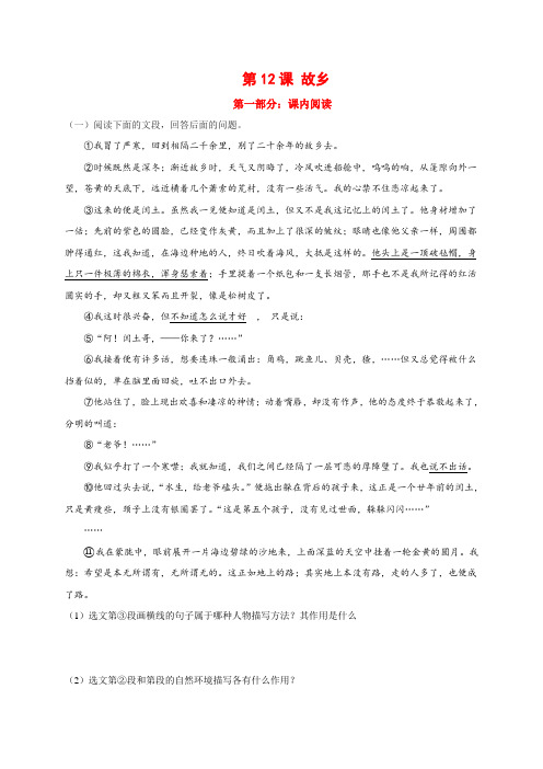 故乡 九年级语文上册同步教学阅读专项训练(部编版)