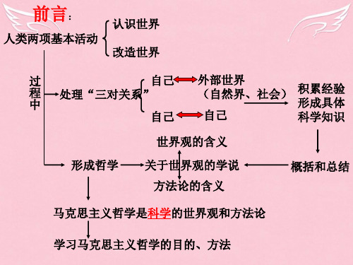 高考政治复习课件一切从实际出发