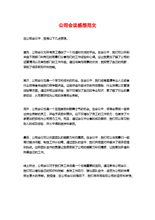 公司会议感想范文