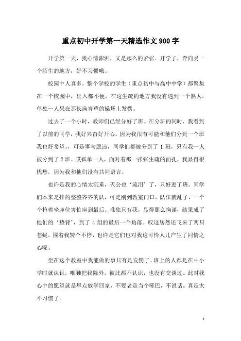 重点初中开学第一天精选作文900字
