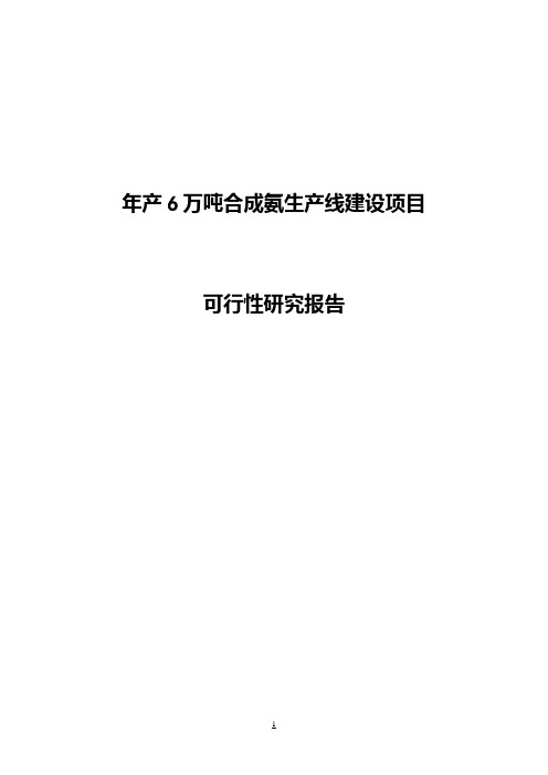 年产6万吨合成氨生产线建设项目可行性研究报告