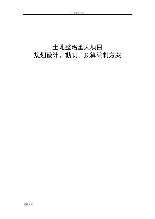 土地整治项目的规划设计、预算编制及勘测方案设计设计