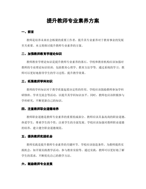 提升教师专业素养方案