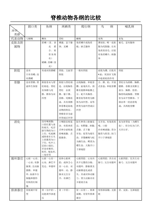 脊椎动物各纲的比较