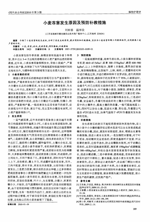 小麦冻害发生原因及预防补救措施