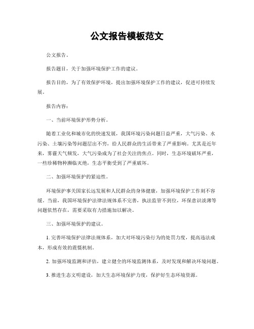 公文报告模板范文