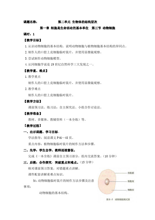 人教版七年级生物上《动物细胞》教案