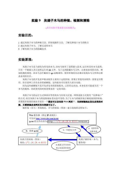 九_反弹式连接技术_灰鸽子木马的种植