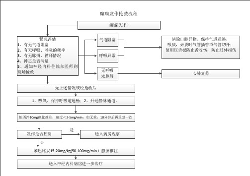 癫痫抢救流程1