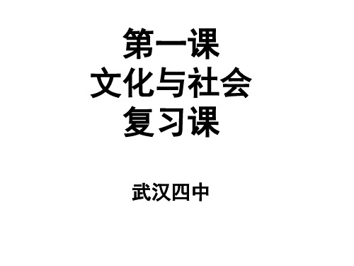 人教版高中政治必修三课件 第一单元第一课_文化与社会_复习课件(共24张PPT)