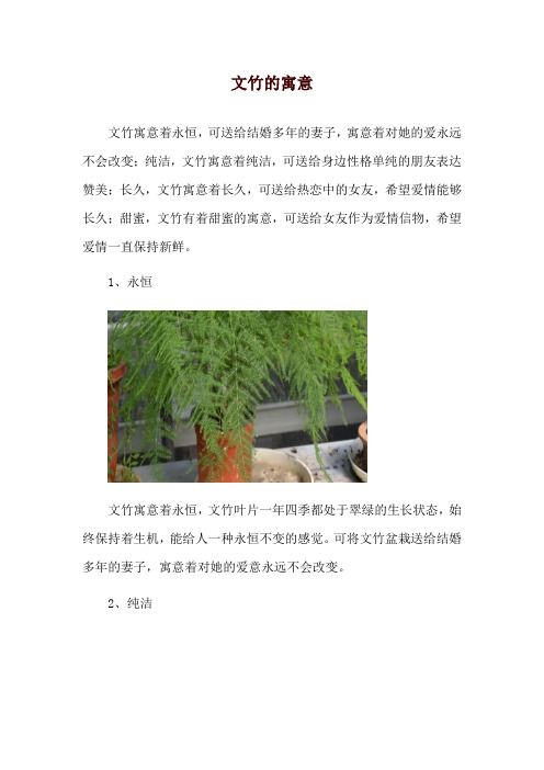 文竹的寓意