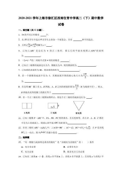 2020-2021学年上海市徐汇区西南位育中学高二(下)期中数学试卷(解析版)