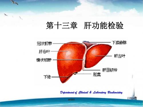 肝功能检验  ppt课件