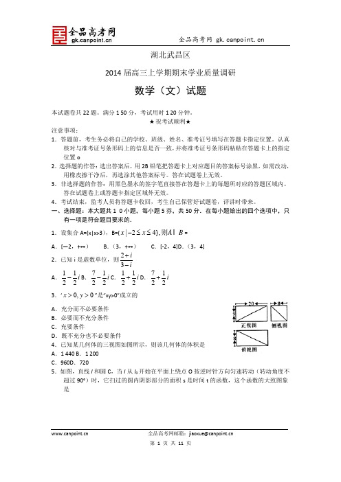 数学文卷·2014届湖北省武昌区高三元月调研考试(2014.01)WORD版