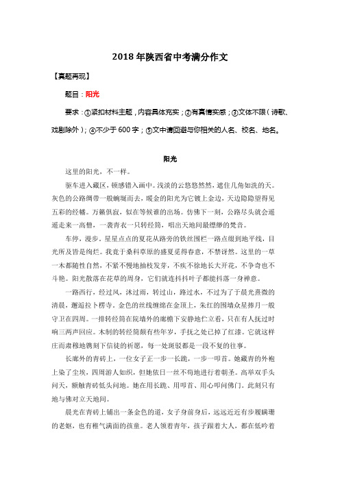 2018年陕西省中考满分作文《阳光》14