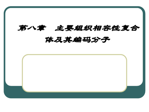 主要组织相容性复合体 X