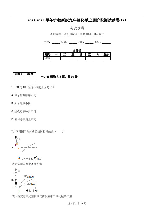 2024-2025学年沪教新版九年级化学上册阶段测试试卷171