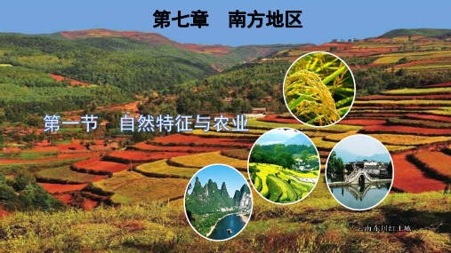 人教版八年级下册第七章第一节《自然特征和农业》课件(共31张PPT)