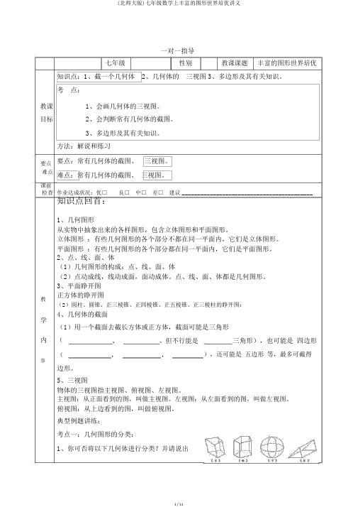 (北师大版)七年级数学上丰富的图形世界培优讲义