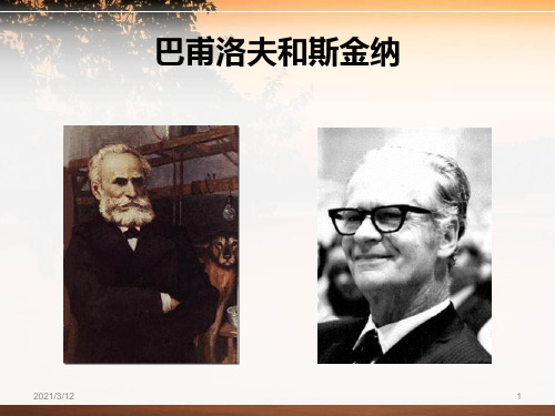操作性反射与经典反射PPT课件