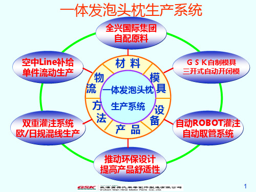 一体发泡特色案例(正式版)tpm