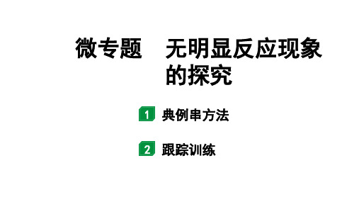 2024江苏中考化学二轮中考考点研究 微专题 无明显反应现象的探究 (课件)