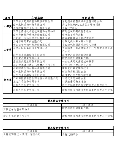 公司名称项目名称