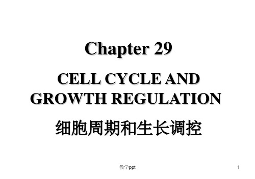 基础分子生物学29细胞周期和生长调控