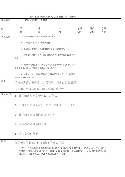 初中生物观察人的口腔上皮细胞的实验报告