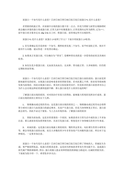 尿蛋白一个加号是什么意思