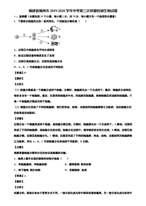 福建省福州市2019-2020学年中考第三次质量检测生物试题含解析