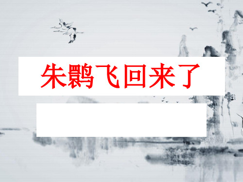 四年级下册语文课件-12.2 朱鹮飞回来了|北师大版 (共13张PPT)