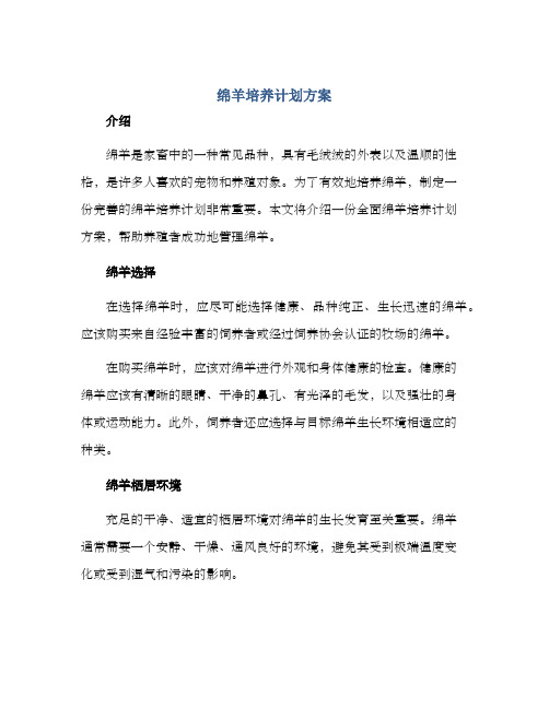 绵羊培养计划方案