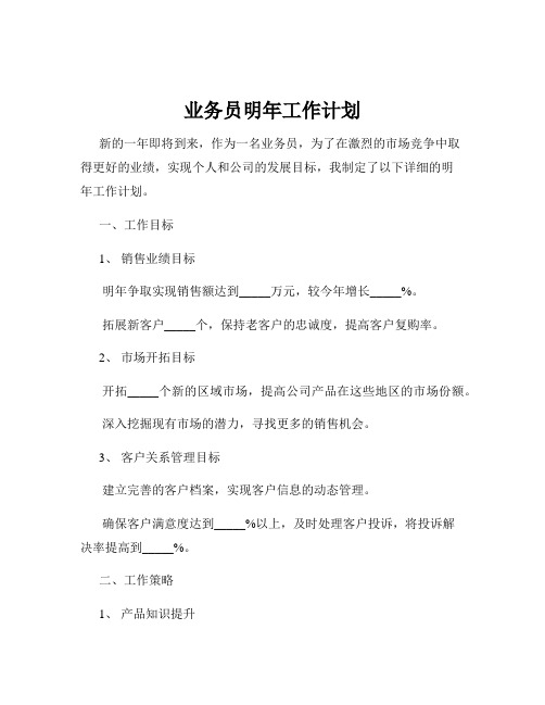 业务员明年工作计划