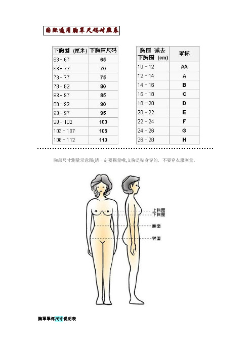 国际通用胸罩尺码对照表及其他