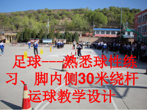 人教版九年级体育与健康 脚内侧拨球