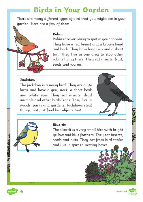 重大版高中英语必修第1册第5单元阅读素材 Birds in Your Garden