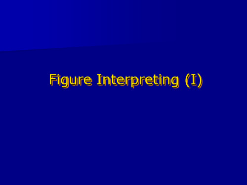 口译11.19figure interpreting 1