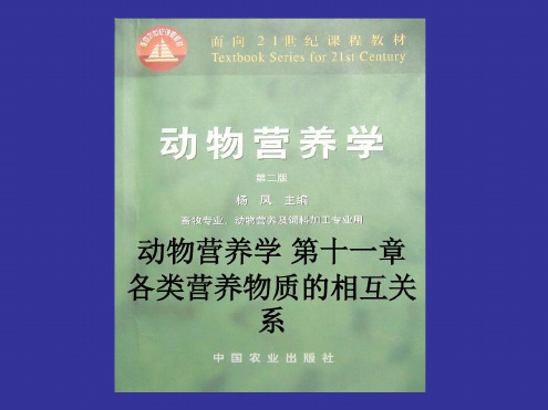 动物营养学第十一章各类营养物质的相互关系-2022年学习资料