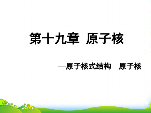 高中物理 第十九章《原子核》精品课件 新人教选修35