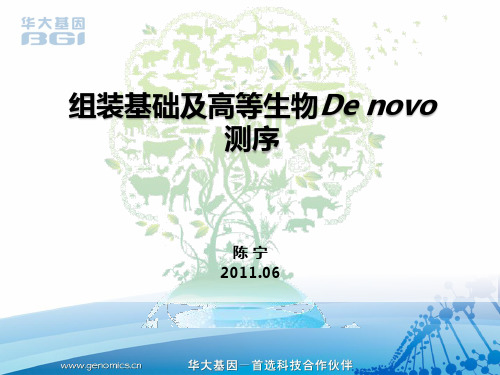 组装基础及高等生物de novo测序