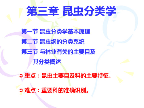 第三章 昆虫分类(一)等翅目、直翅目、缨翅目