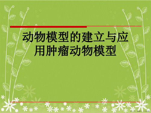 动物模型的建立与应用肿瘤动物模型